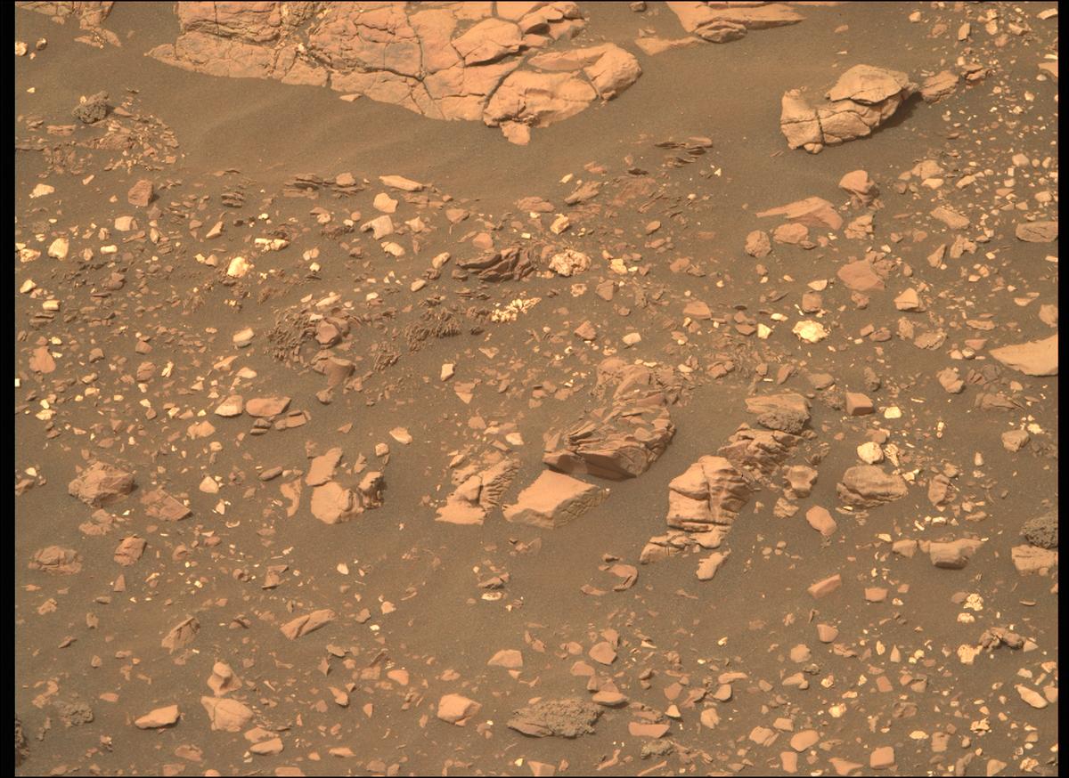 This image was taken by MCZ_RIGHT onboard NASA's Mars rover Perseverance on Sol 461