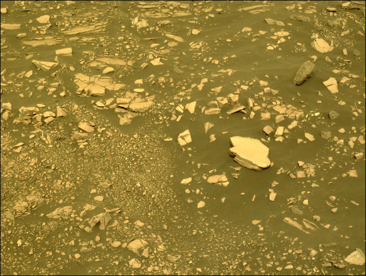 This image was taken by NAVCAM_LEFT onboard NASA's Mars rover Perseverance on Sol 462