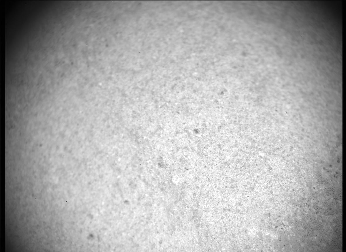 This image was taken by SHERLOC_ACI onboard NASA's Mars rover Perseverance on Sol 463