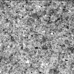 This image was taken by SHERLOC_ACI onboard NASA's Mars rover Perseverance on Sol 463