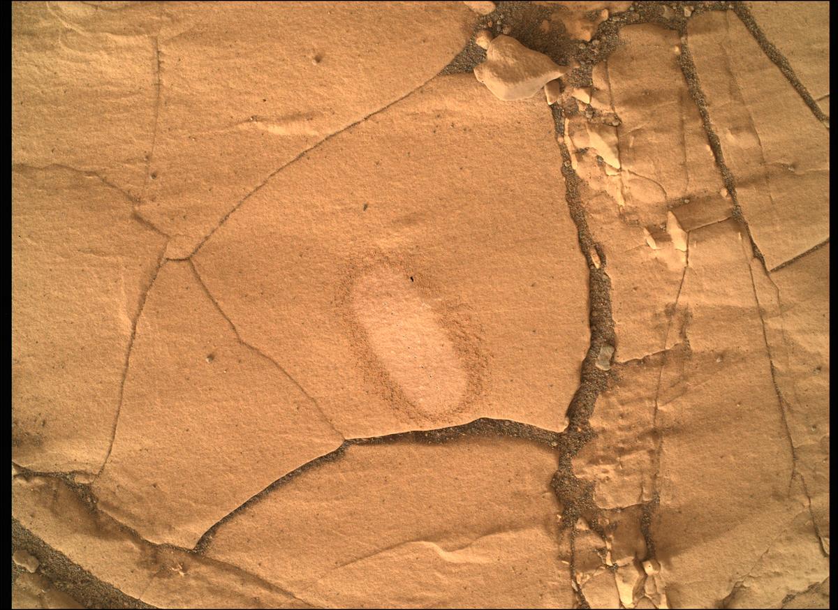 This image was taken by SHERLOC_WATSON onboard NASA's Mars rover Perseverance on Sol 463