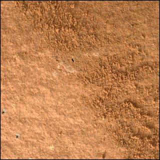 View image taken on Mars, Mars Perseverance Sol 463: WATSON Camera 