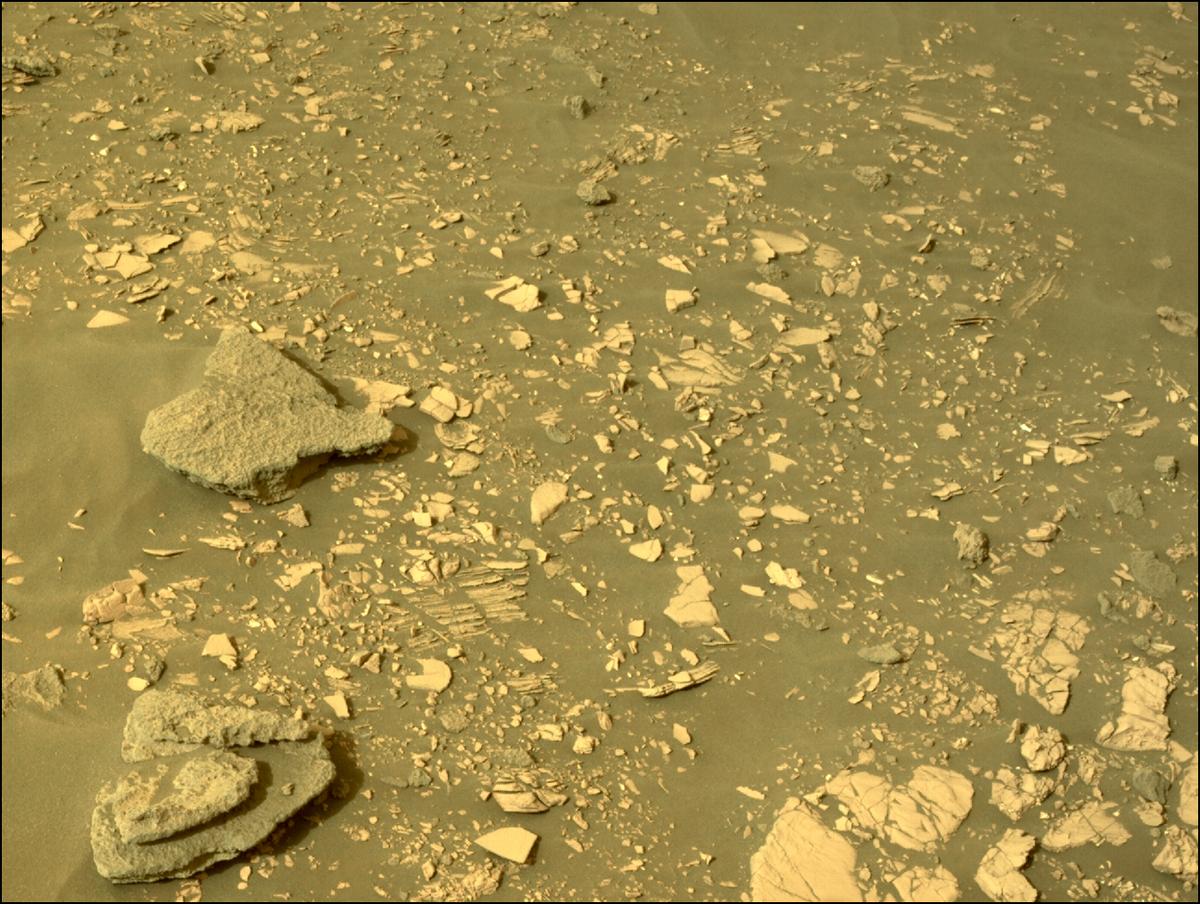 This image was taken by NAVCAM_LEFT onboard NASA's Mars rover Perseverance on Sol 464