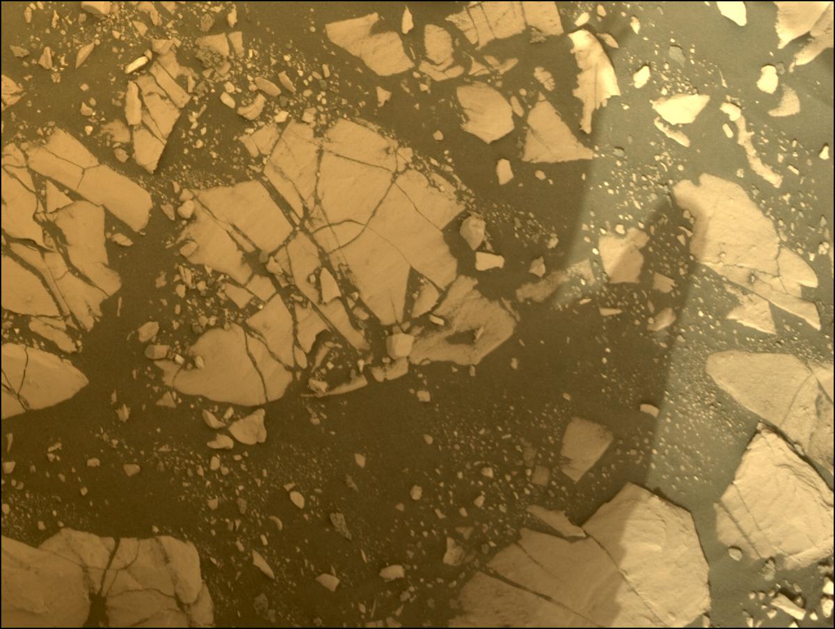 This image was taken by NAVCAM_RIGHT onboard NASA's Mars rover Perseverance on Sol 464