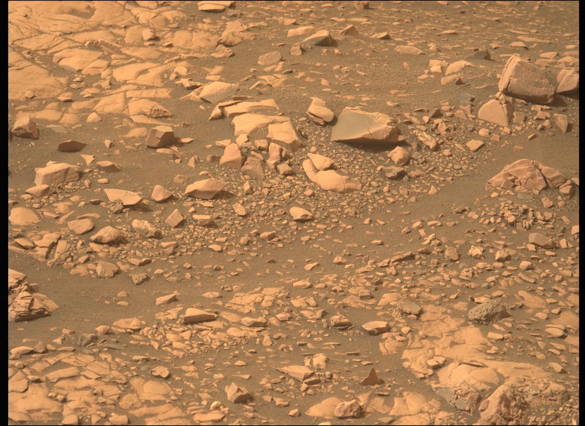This image was taken by MCZ_LEFT onboard NASA's Mars rover Perseverance on Sol 464