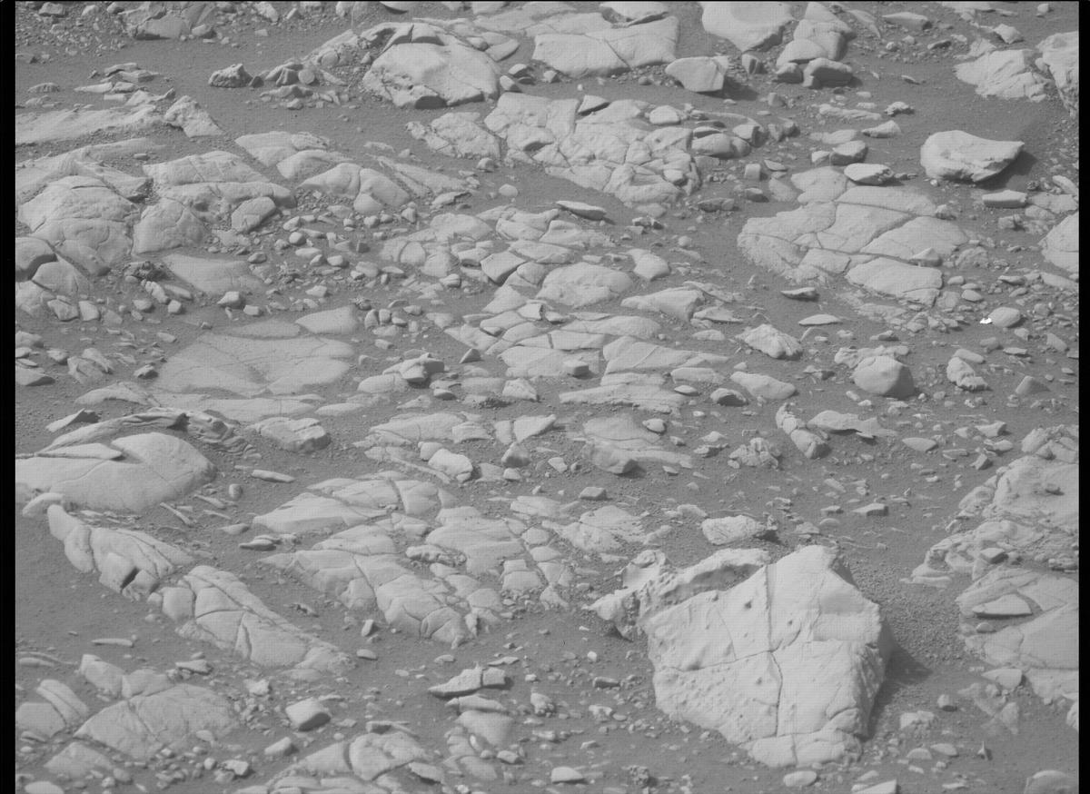 This image was taken by MCZ_LEFT onboard NASA's Mars rover Perseverance on Sol 464