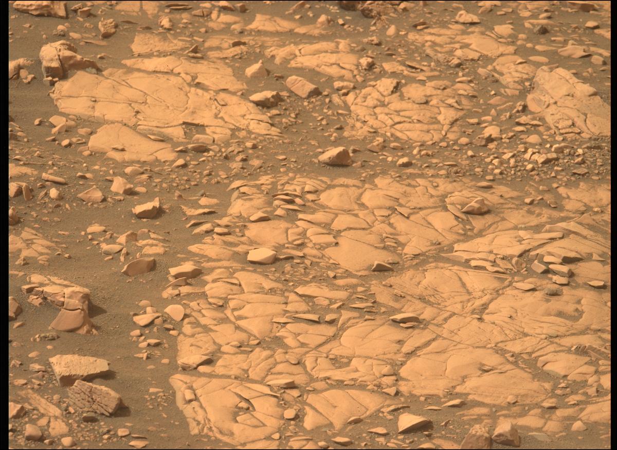 This image was taken by MCZ_LEFT onboard NASA's Mars rover Perseverance on Sol 464