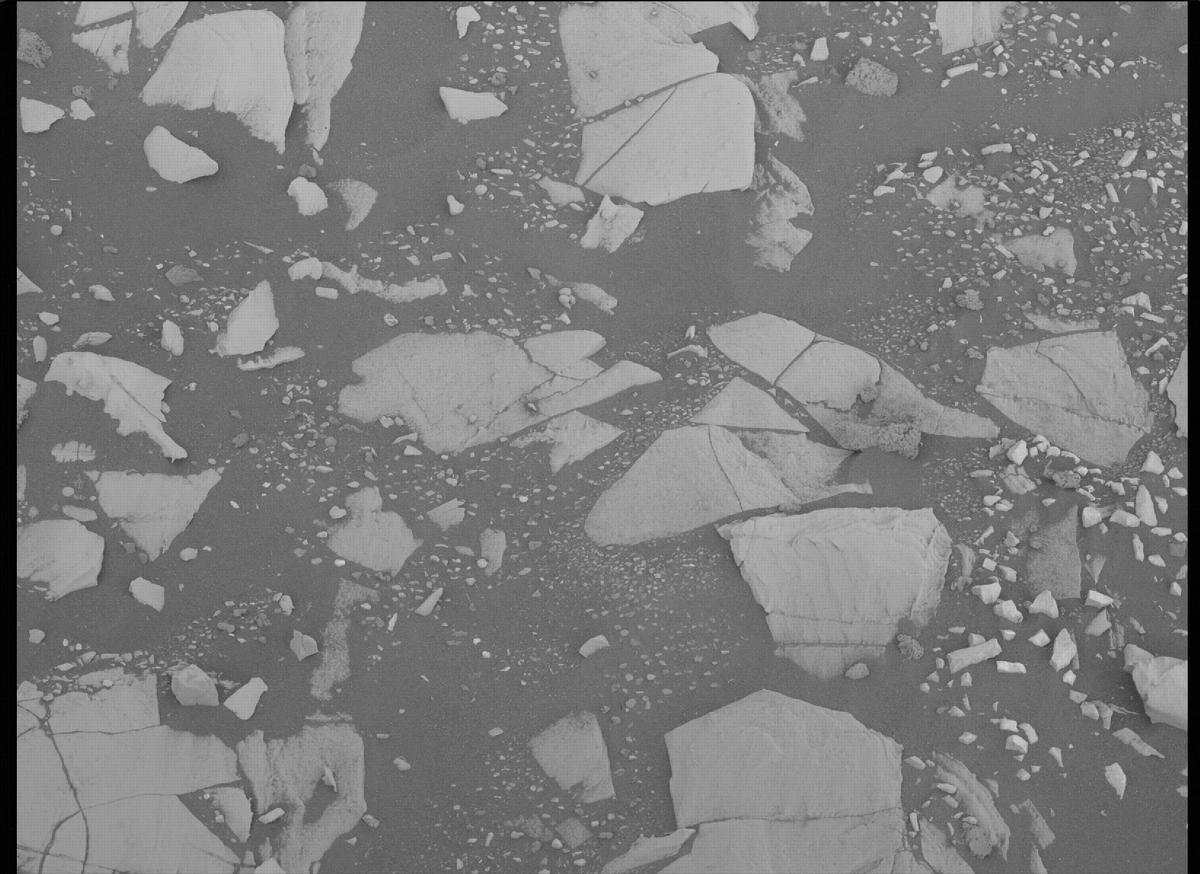 This image was taken by MCZ_LEFT onboard NASA's Mars rover Perseverance on Sol 464