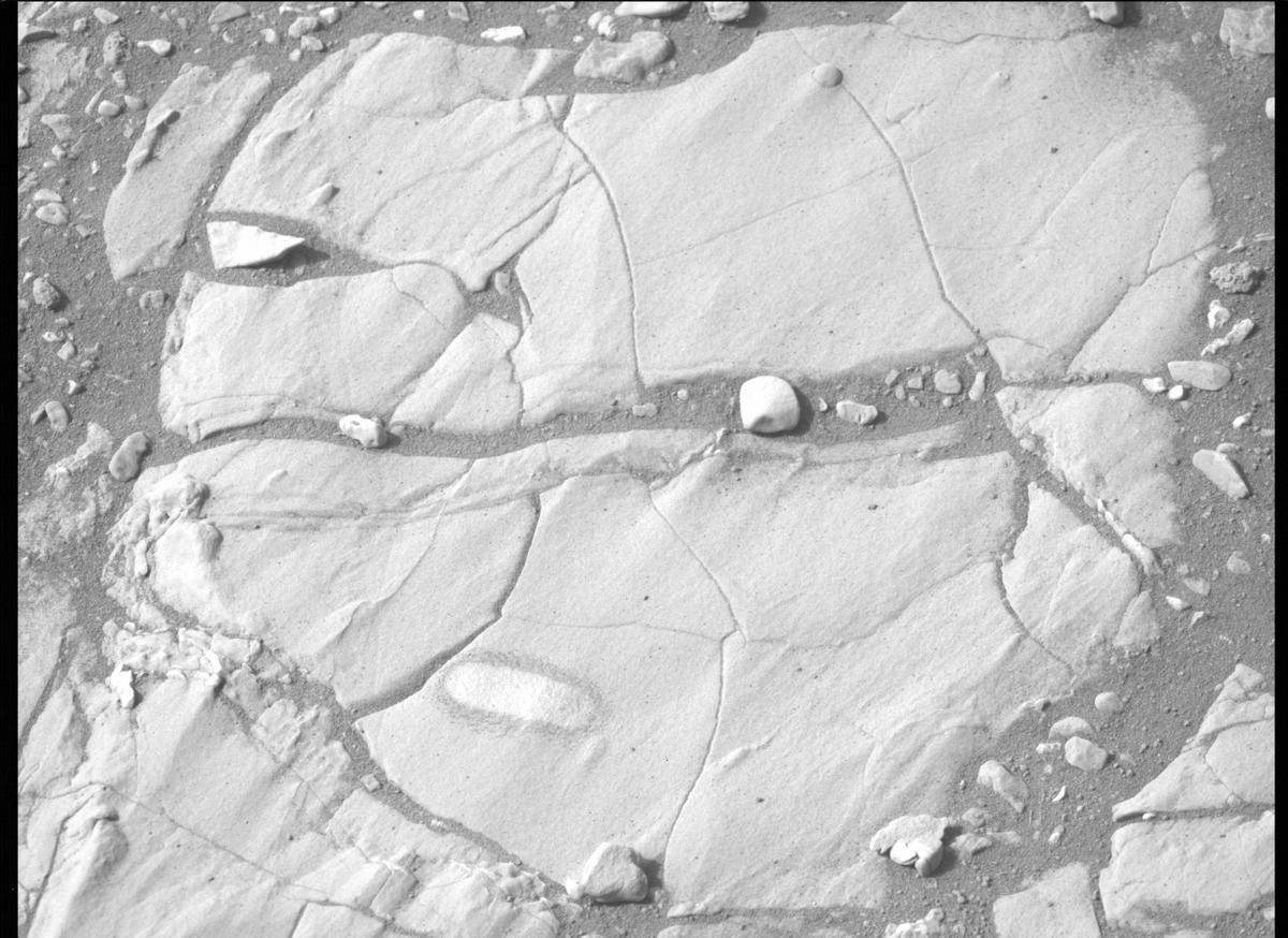 This image was taken by MCZ_LEFT onboard NASA's Mars rover Perseverance on Sol 464
