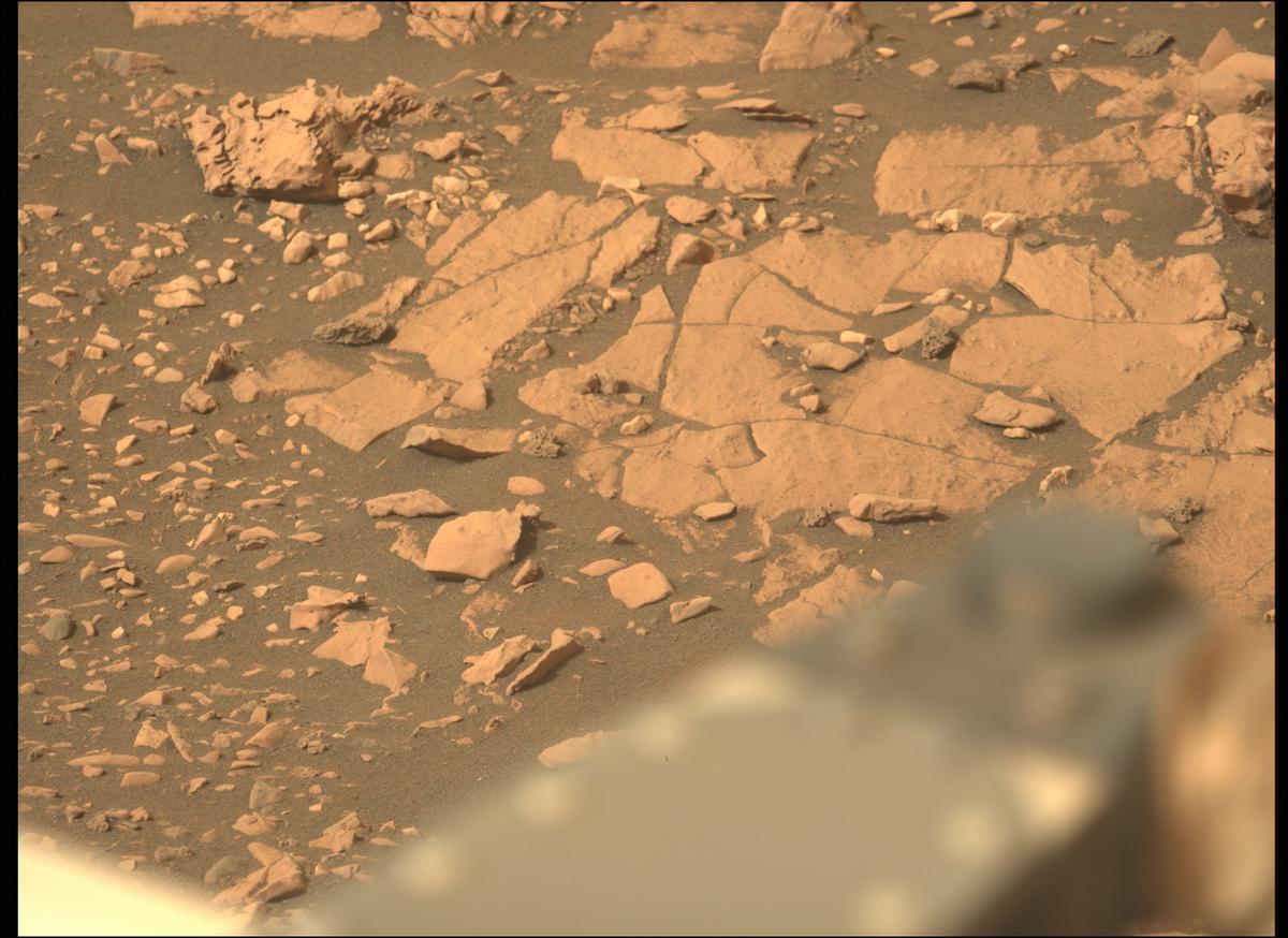 This image was taken by MCZ_LEFT onboard NASA's Mars rover Perseverance on Sol 467
