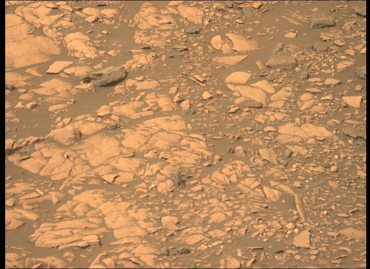 This image was taken by MCZ_LEFT onboard NASA's Mars rover Perseverance on Sol 467