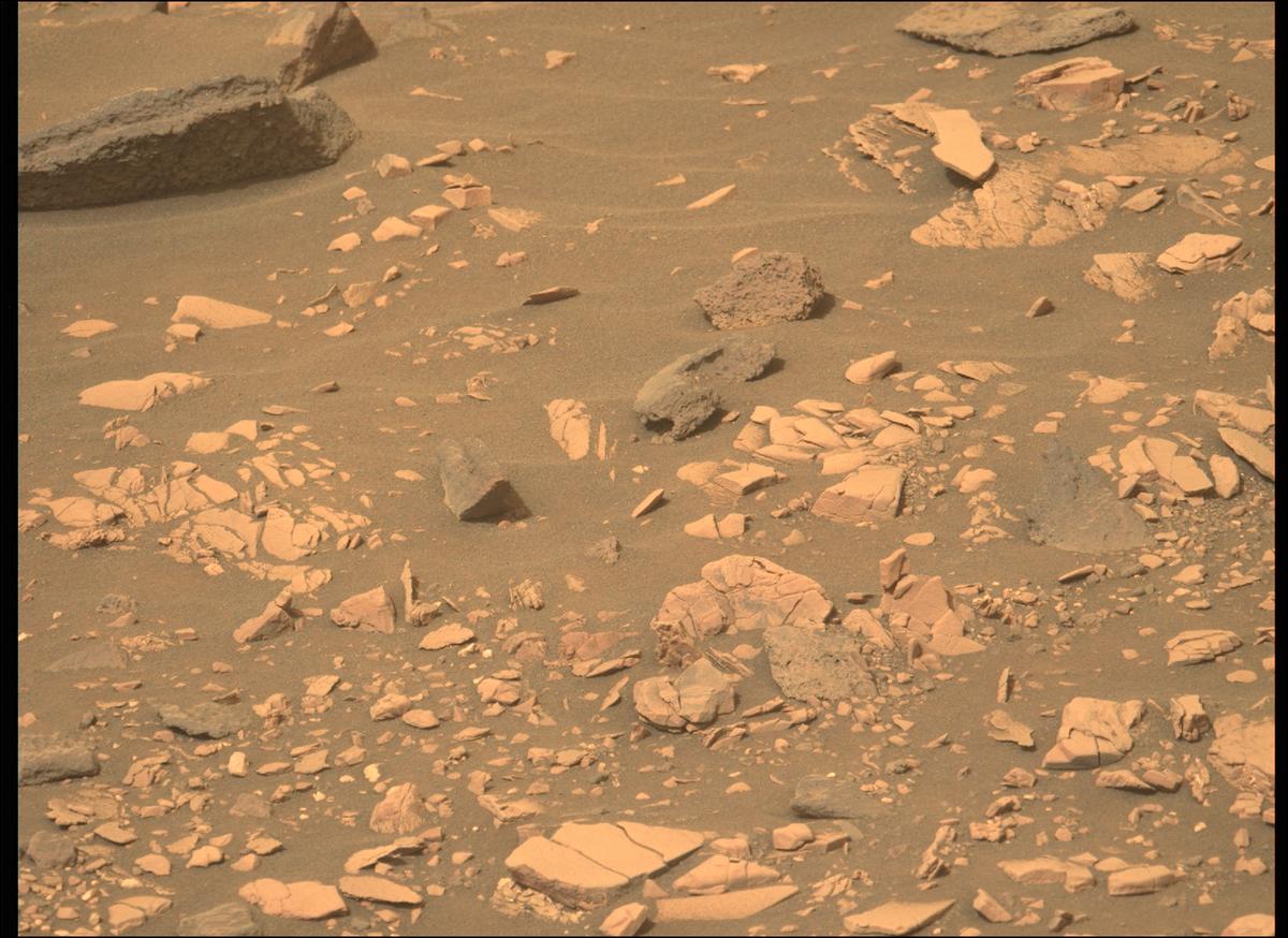 This image was taken by MCZ_LEFT onboard NASA's Mars rover Perseverance on Sol 467