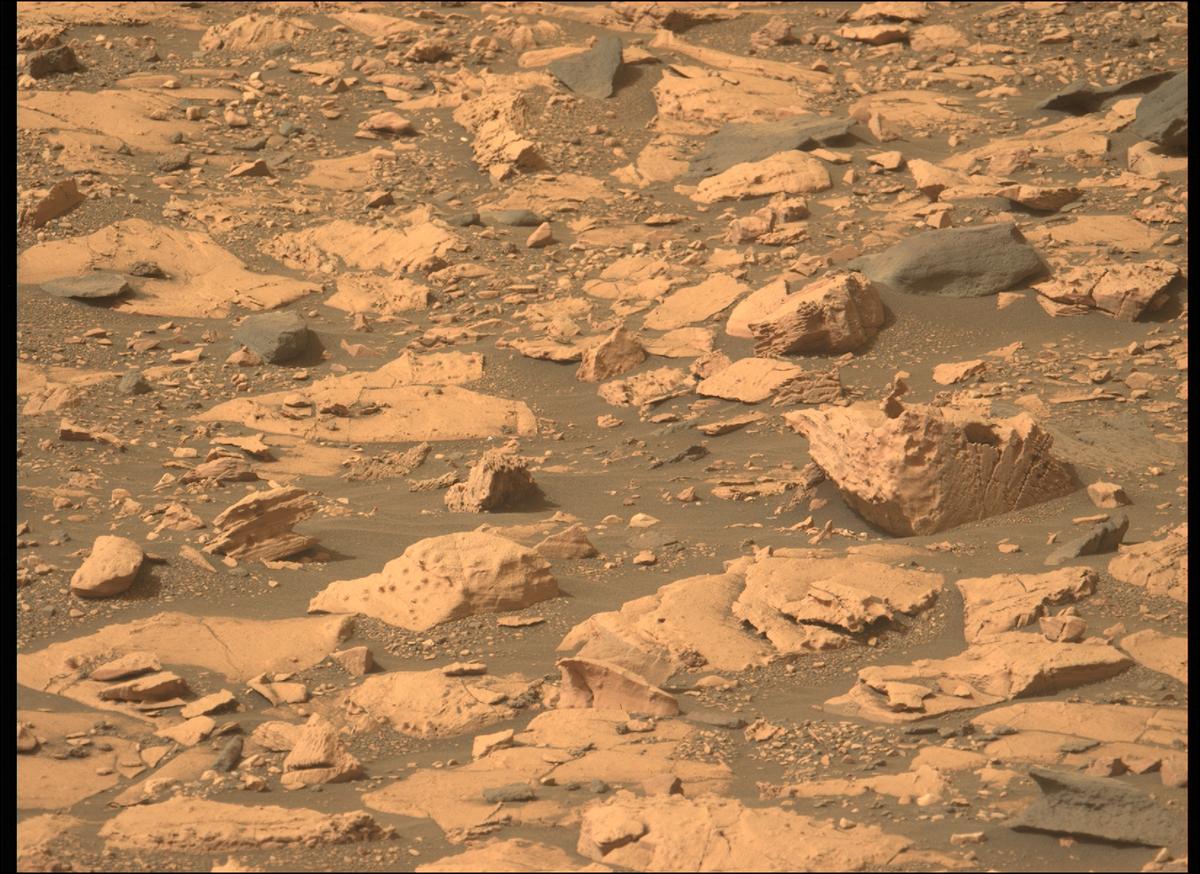 This image was taken by MCZ_LEFT onboard NASA's Mars rover Perseverance on Sol 467