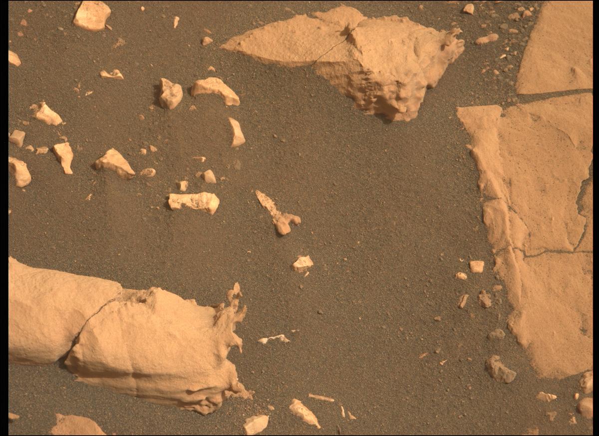 This image was taken by MCZ_LEFT onboard NASA's Mars rover Perseverance on Sol 467