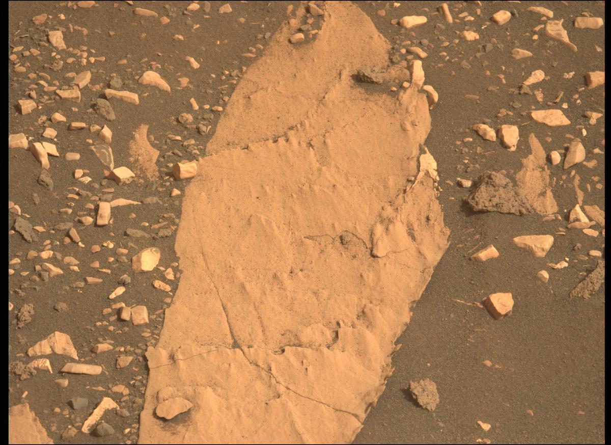This image was taken by MCZ_LEFT onboard NASA's Mars rover Perseverance on Sol 467