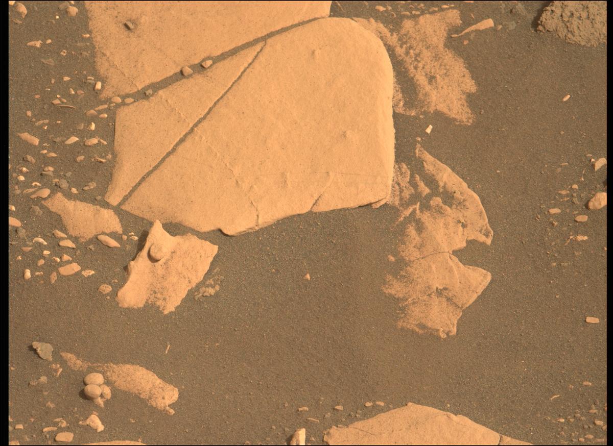This image was taken by MCZ_LEFT onboard NASA's Mars rover Perseverance on Sol 467