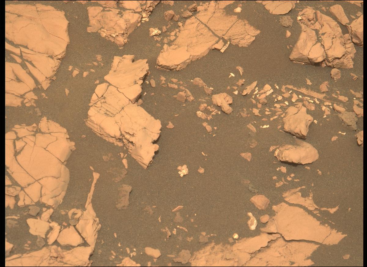 This image was taken by MCZ_LEFT onboard NASA's Mars rover Perseverance on Sol 467
