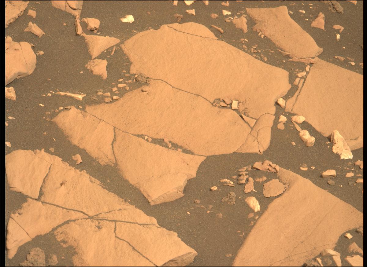 This image was taken by MCZ_LEFT onboard NASA's Mars rover Perseverance on Sol 467