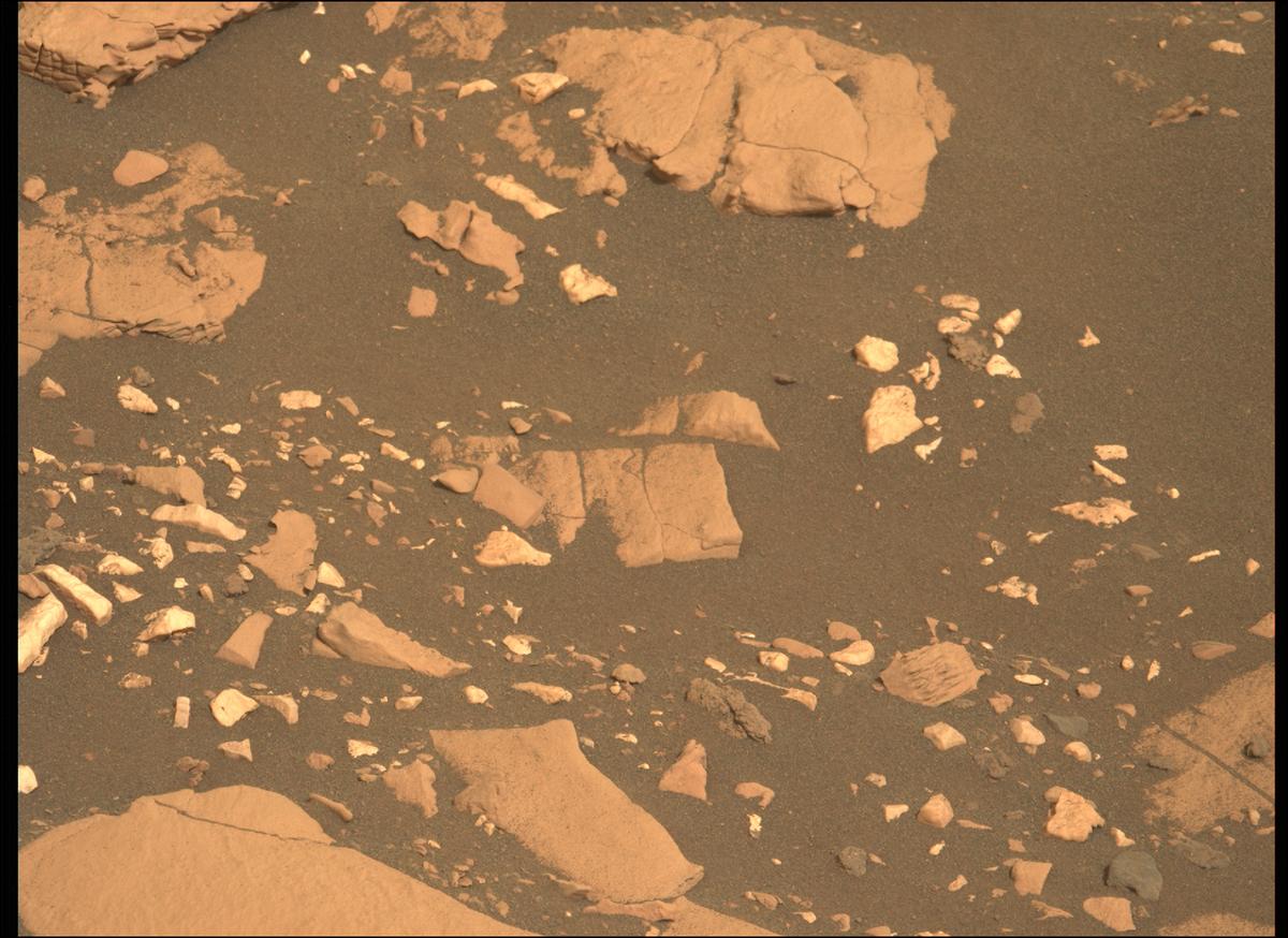 This image was taken by MCZ_LEFT onboard NASA's Mars rover Perseverance on Sol 467