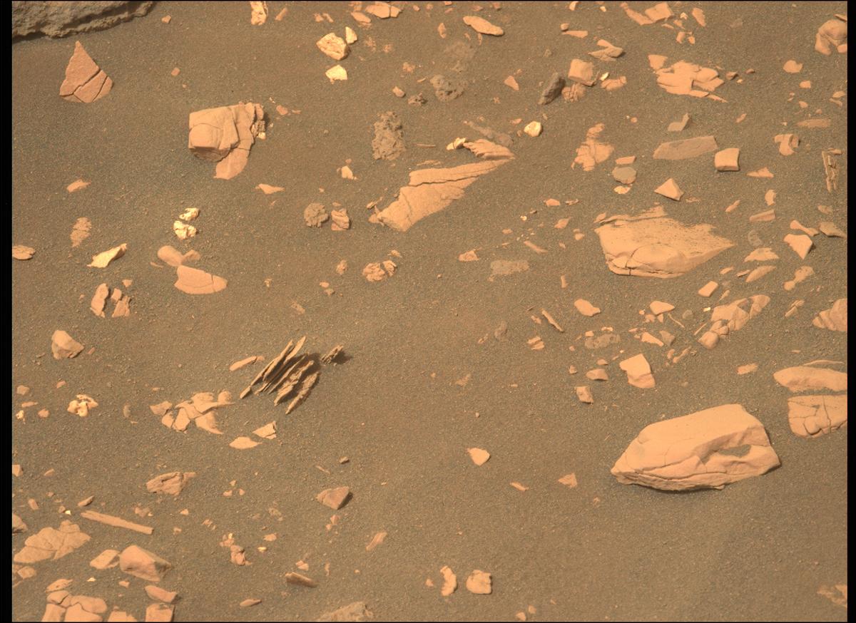 This image was taken by MCZ_LEFT onboard NASA's Mars rover Perseverance on Sol 467