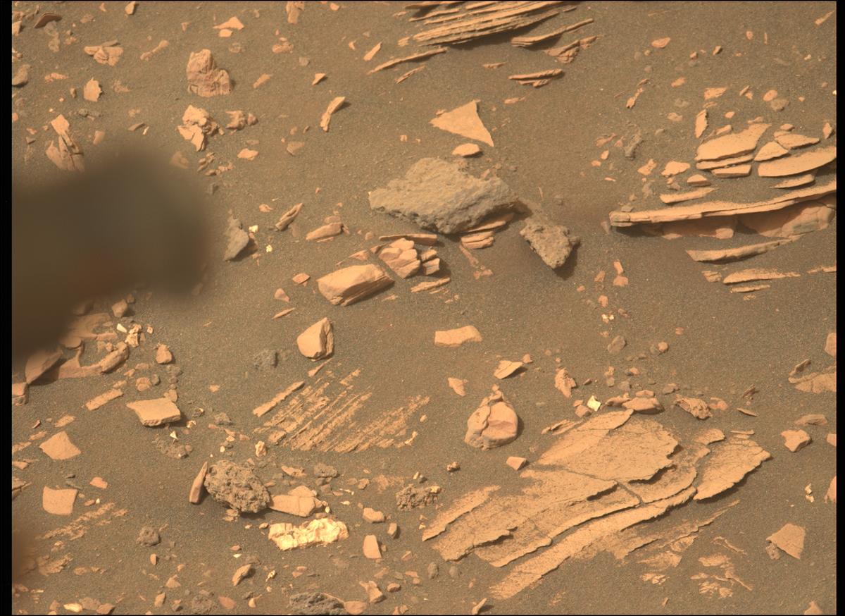 This image was taken by MCZ_LEFT onboard NASA's Mars rover Perseverance on Sol 467