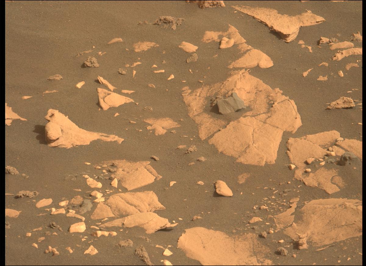 This image was taken by MCZ_LEFT onboard NASA's Mars rover Perseverance on Sol 467