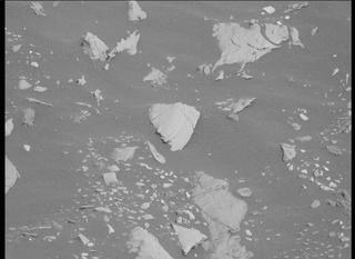View image taken on Mars, Mars Perseverance Sol 467: Left Mastcam-Z Camera