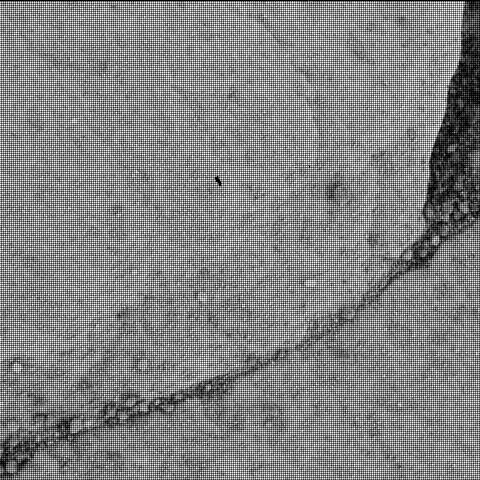 This image was taken by SHERLOC_WATSON onboard NASA's Mars rover Perseverance on Sol 470