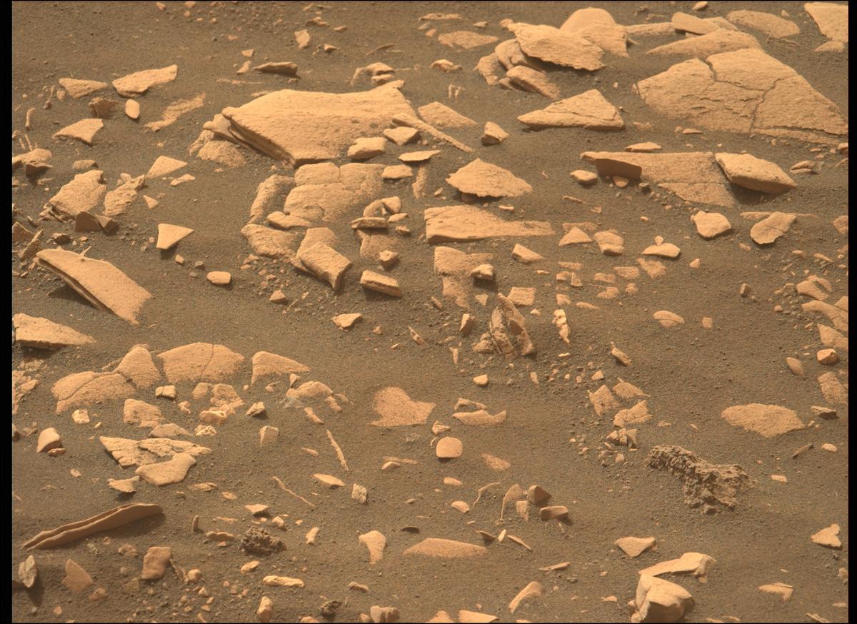 This image was taken by MCZ_LEFT onboard NASA's Mars rover Perseverance on Sol 471