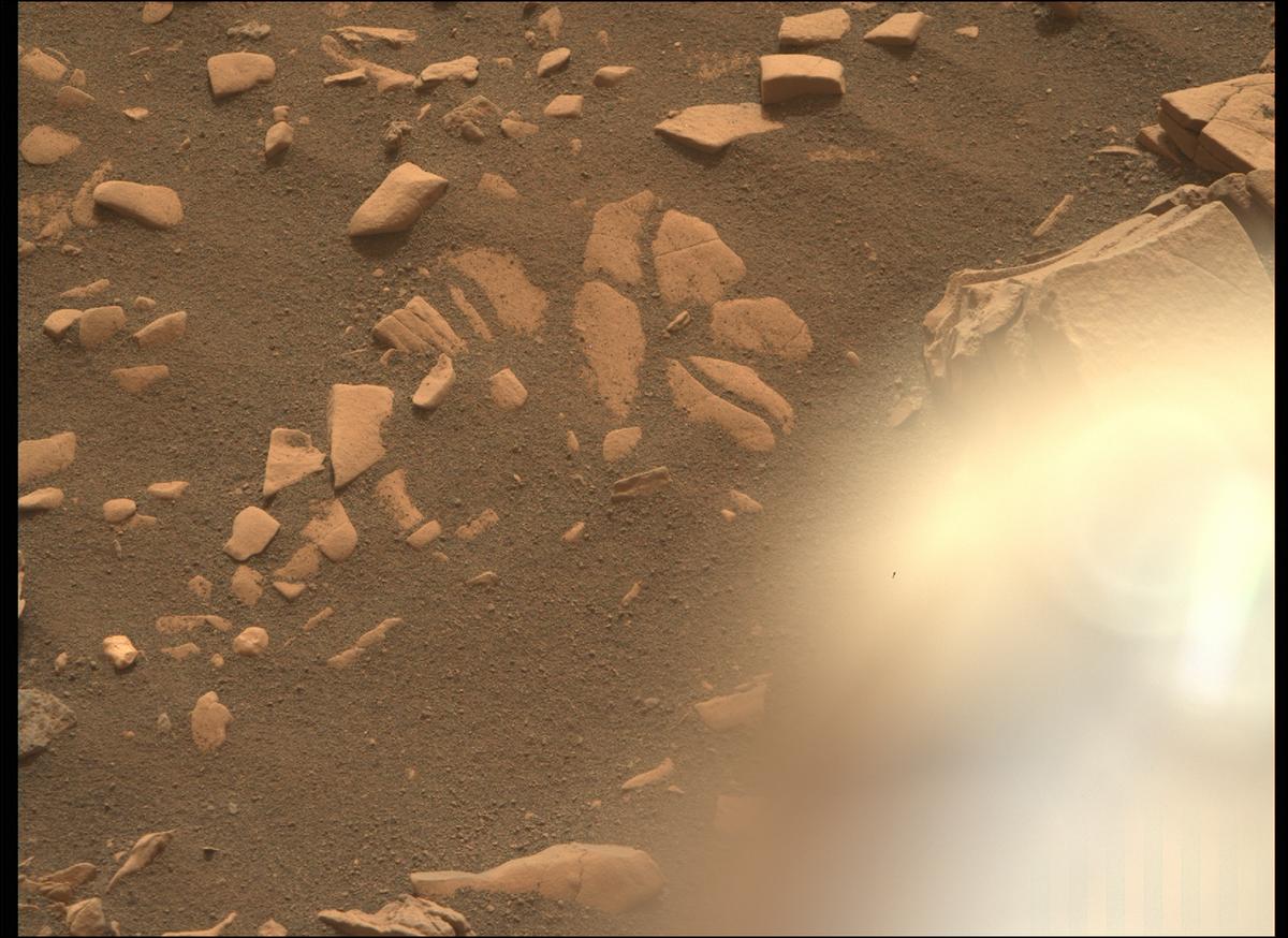 This image was taken by MCZ_RIGHT onboard NASA's Mars rover Perseverance on Sol 471