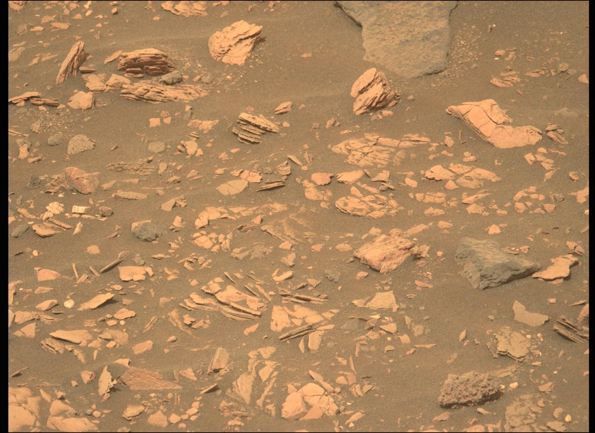 This image was taken by MCZ_LEFT onboard NASA's Mars rover Perseverance on Sol 474