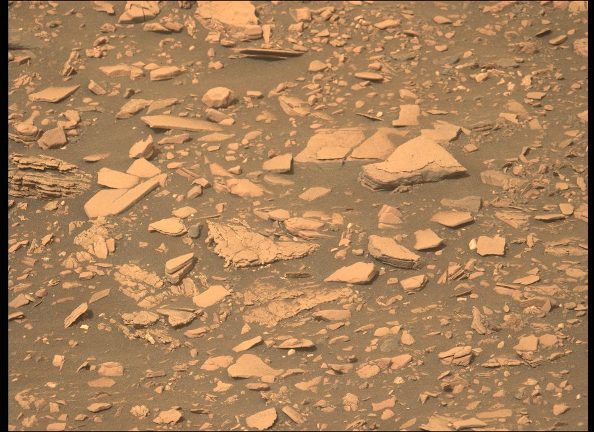 This image was taken by MCZ_LEFT onboard NASA's Mars rover Perseverance on Sol 474