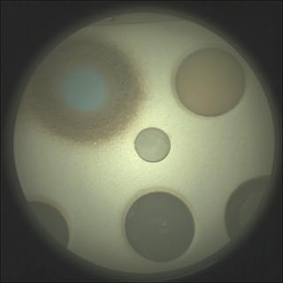 View image taken on Mars, Mars Perseverance Sol 478: SuperCam Camera