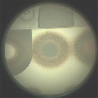 View image taken on Mars, Mars Perseverance Sol 478: SuperCam Camera