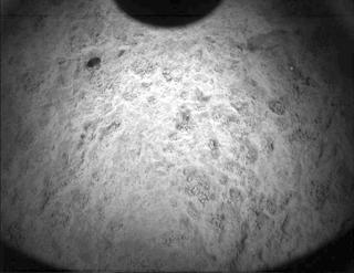 View image taken on Mars, Mars Perseverance Sol 480: PIXL Camera 