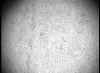 View image taken on Mars, Mars Perseverance Sol 480: SHERLOC ACI Camera 
