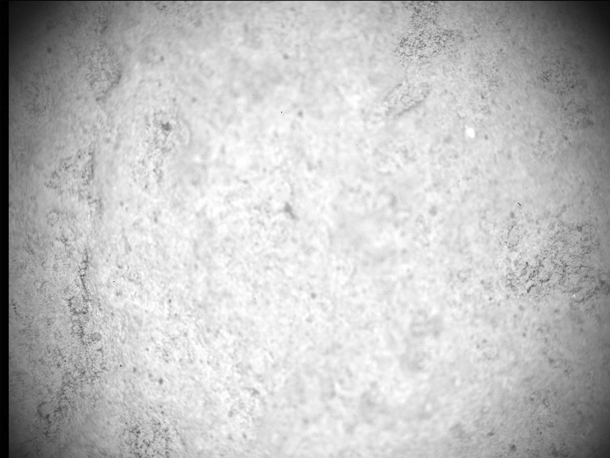 This image was taken by SHERLOC_ACI onboard NASA's Mars rover Perseverance on Sol 480