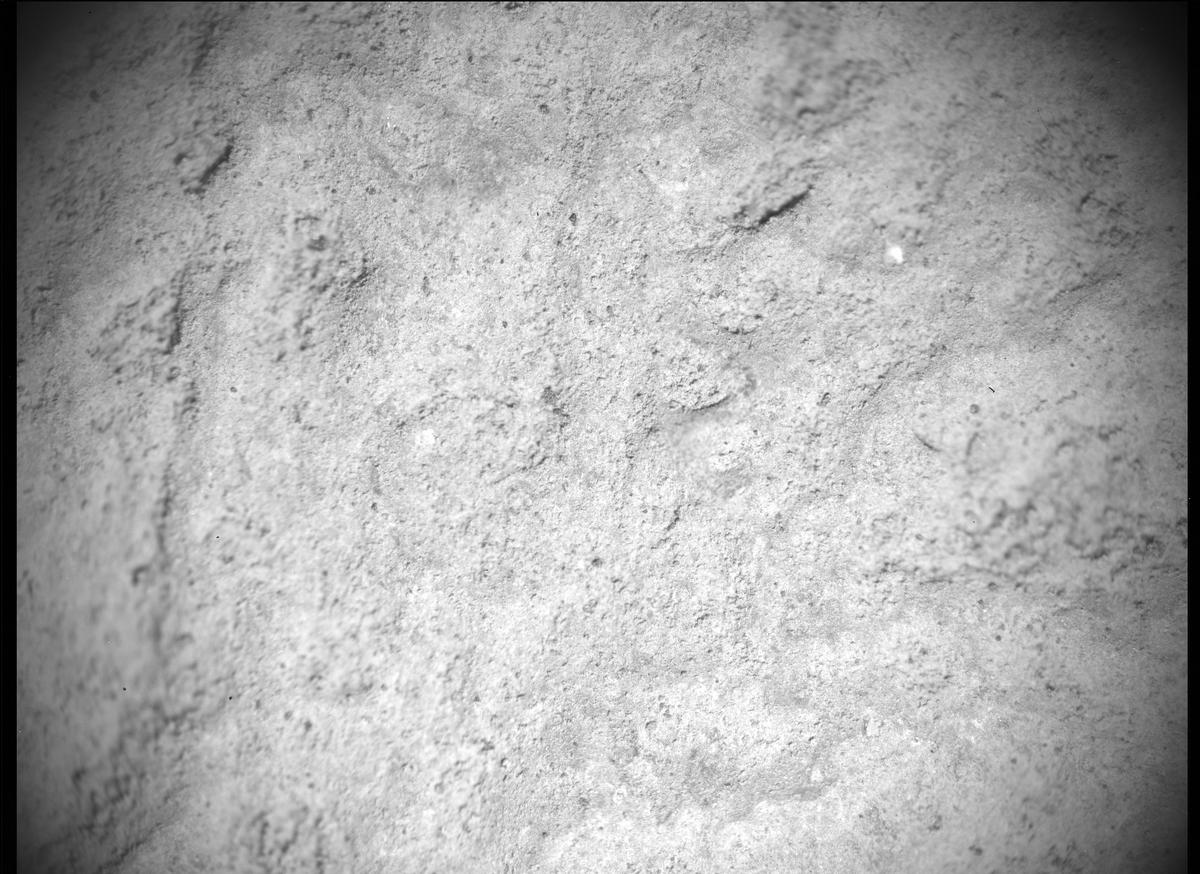 This image was taken by SHERLOC_ACI onboard NASA's Mars rover Perseverance on Sol 480