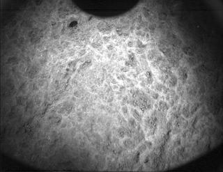 View image taken on Mars, Mars Perseverance Sol 481: PIXL Camera 