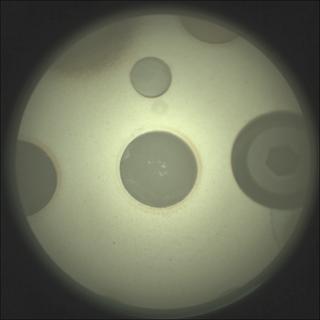 View image taken on Mars, Mars Perseverance Sol 484: SuperCam Camera