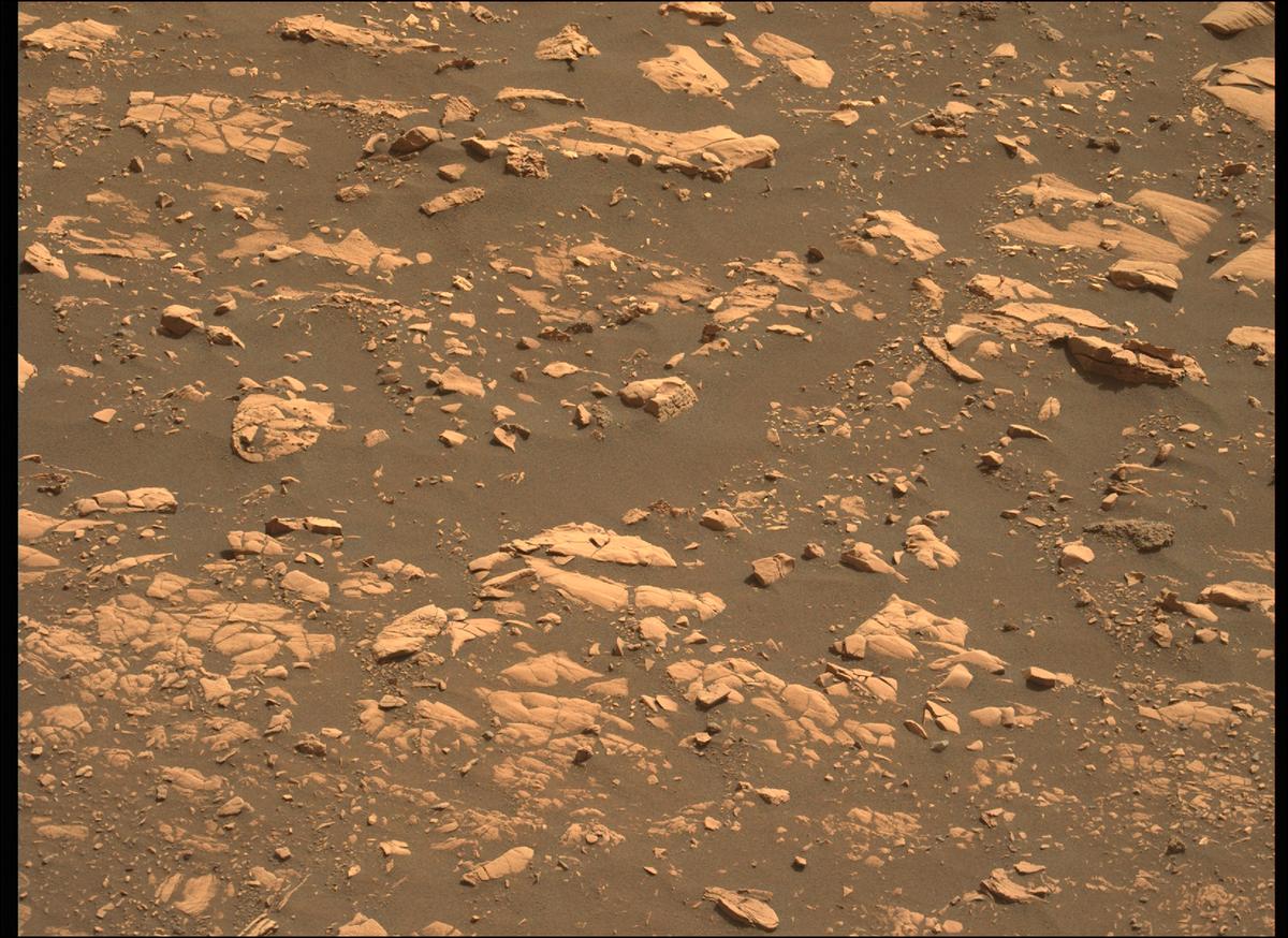 This image was taken by MCZ_LEFT onboard NASA's Mars rover Perseverance on Sol 484