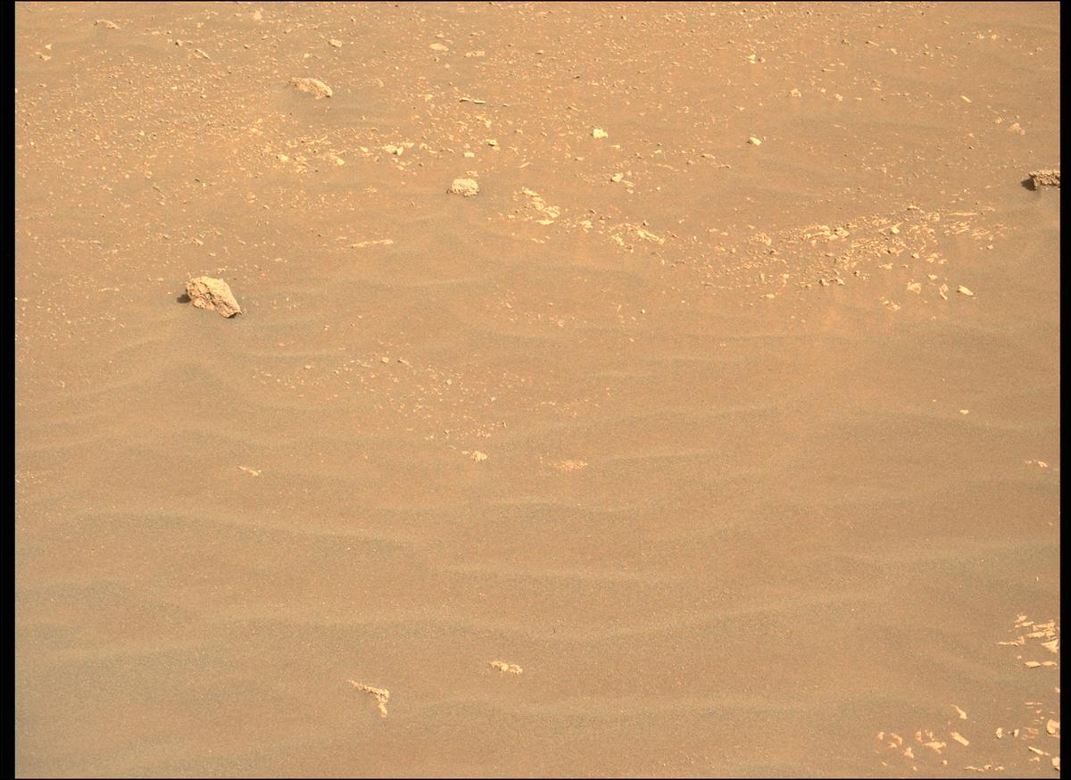 This image was taken by MCZ_LEFT onboard NASA's Mars rover Perseverance on Sol 484