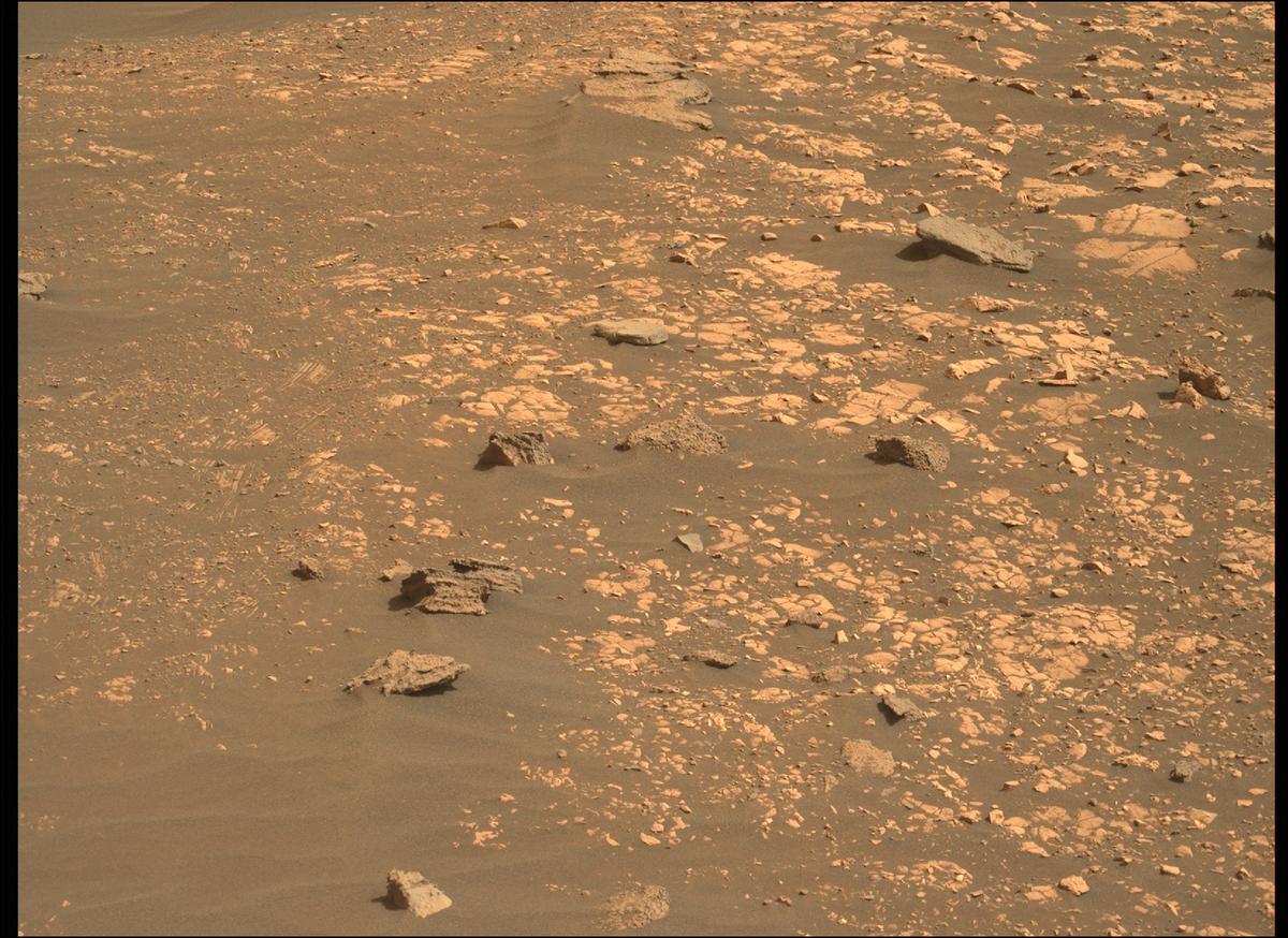 This image was taken by MCZ_LEFT onboard NASA's Mars rover Perseverance on Sol 484