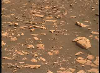 View image taken on Mars, Mars Perseverance Sol 484: Right Mastcam-Z Camera