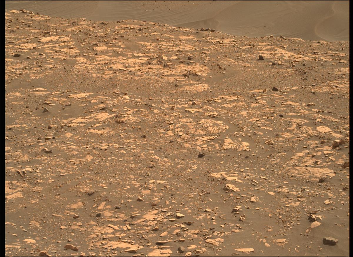 This image was taken by MCZ_RIGHT onboard NASA's Mars rover Perseverance on Sol 484