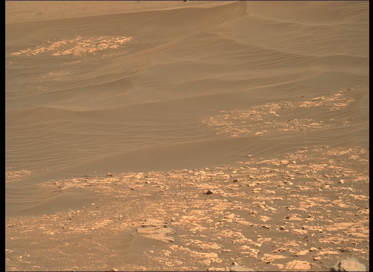 This image was taken by MCZ_RIGHT onboard NASA's Mars rover Perseverance on Sol 484