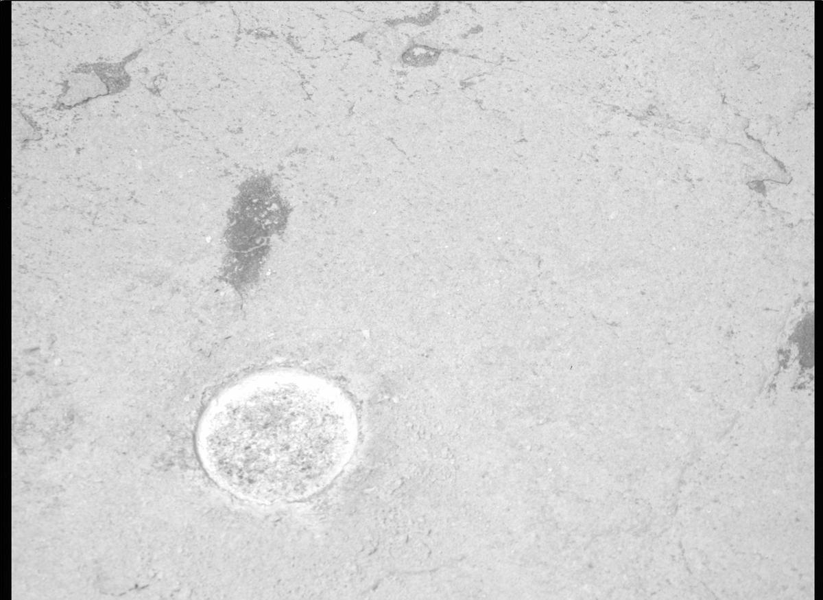 This image was taken by MCZ_RIGHT onboard NASA's Mars rover Perseverance on Sol 484