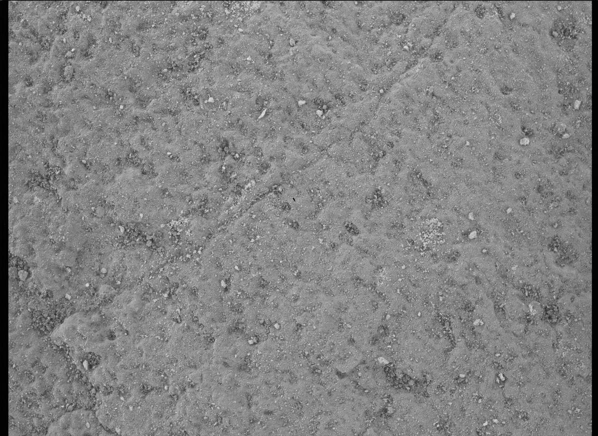 This image was taken by SHERLOC_WATSON onboard NASA's Mars rover Perseverance on Sol 485