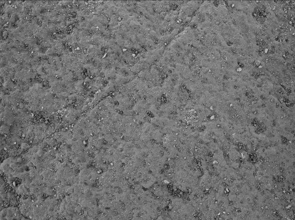 This image was taken by SHERLOC_WATSON onboard NASA's Mars rover Perseverance on Sol 485