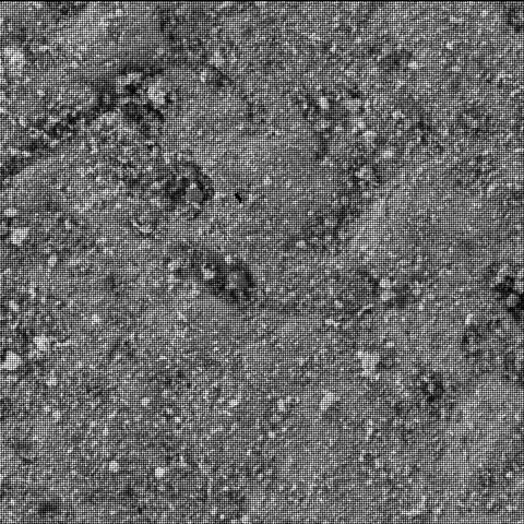 This image was taken by SHERLOC_WATSON onboard NASA's Mars rover Perseverance on Sol 485